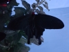 20180105_092604